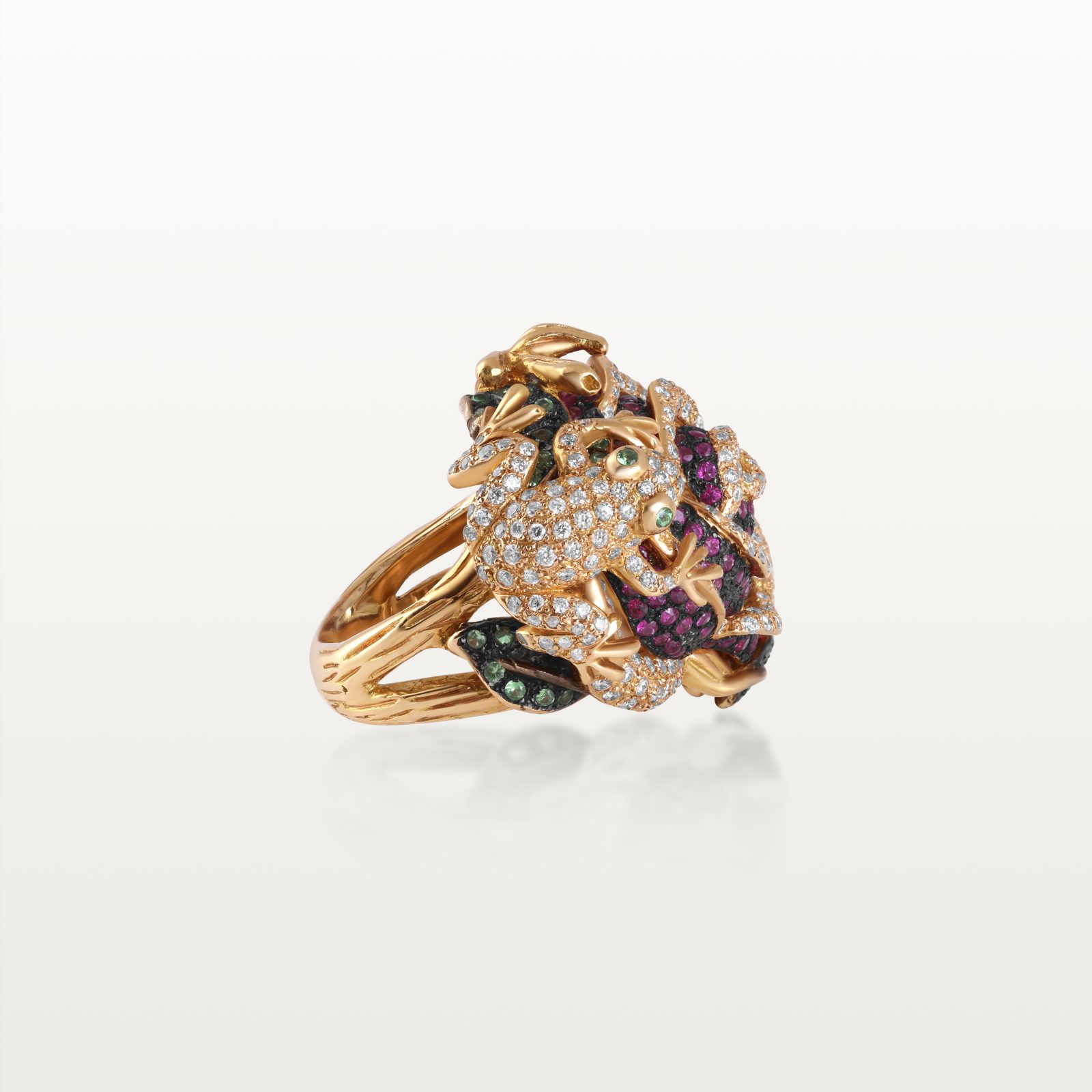 bague-diamants-blanc-diamants-jaune-marron-rubis-rose-tzavorite-fleurs-haute-joaillerie-kara.s5-les-fleurs-du-bien